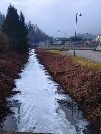 Schiuma sul rio Ponzone