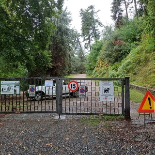 Maltempo, chiuso il parco della Burcina, foto pag fb parco ticino lago maggiore