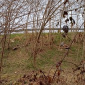 Cossato, ennesima discarica a cielo aperto, la segnalazione di un lettore FOTO