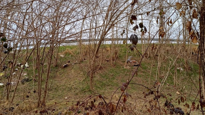 Cossato, ennesima discarica a cielo aperto, la segnalazione di un lettore FOTO