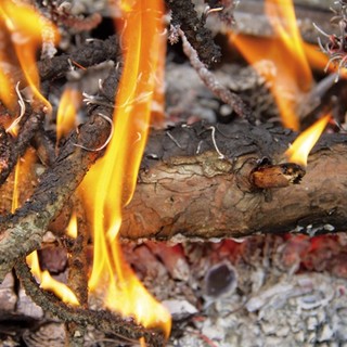 La Regione Piemonte vieta di bruciare materiale vegetale a luglio ed agosto - Foto archivio newsbiella.it