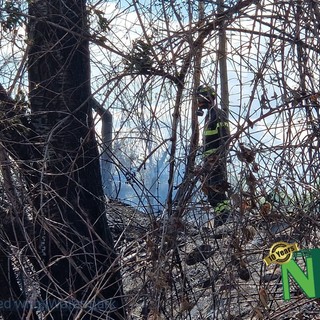 Sterpaglie a fuoco, intervento dei Vigili del Fuoco a Brusnengo, foto archivio