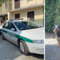 Cane abbandonato a Salussola: interviene la Polizia Locale.