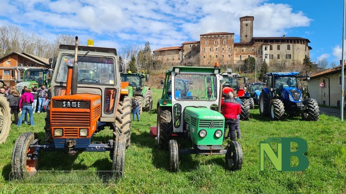 massazza carnevale