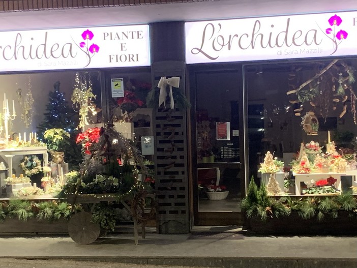 L'Orchidea di Sara: fiori, arte e sorprese per un Natale speciale