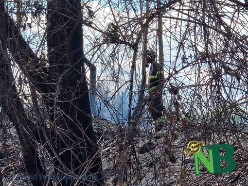 Sterpaglie a fuoco, intervento dei Vigili del Fuoco a Brusnengo, foto archivio