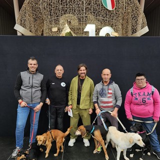 Scodinzolando con Flò e il Centro Cinofilo Il Pioppeto di Sandigliano a Torino FOTO