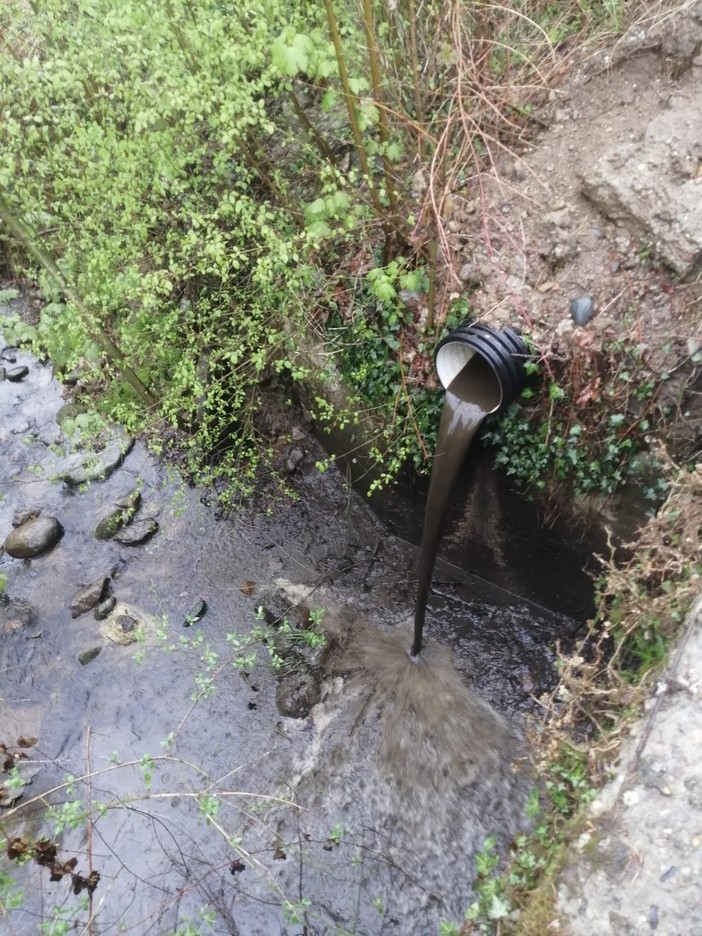 Contaminazione a Mongrando: i liquami si gettano nel rio.