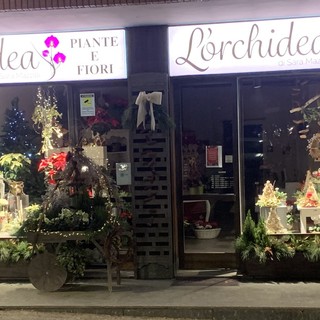 L'Orchidea di Sara: fiori, arte e sorprese per un Natale speciale