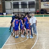 basket biella