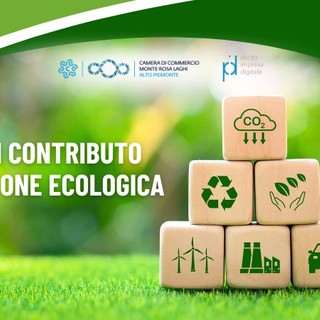 Bando Transizione Ecologica: 300mila euro di contributi dalla Camera di Commercio per sostenere l’innovazione energetica e sostenibile delle imprese