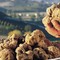 Dal 1° ottobre la “cerca” del tartufo