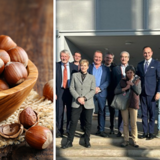 Il Piemonte protegge l'eccellenza: 750.000 euro per il rilancio della nocciola IGP