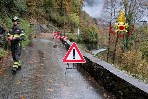 Pianta cade sui cavi del telefono ad Arboerio, intervengono i Vigili del Fuoco