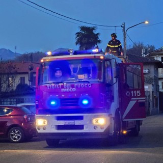 biella 118