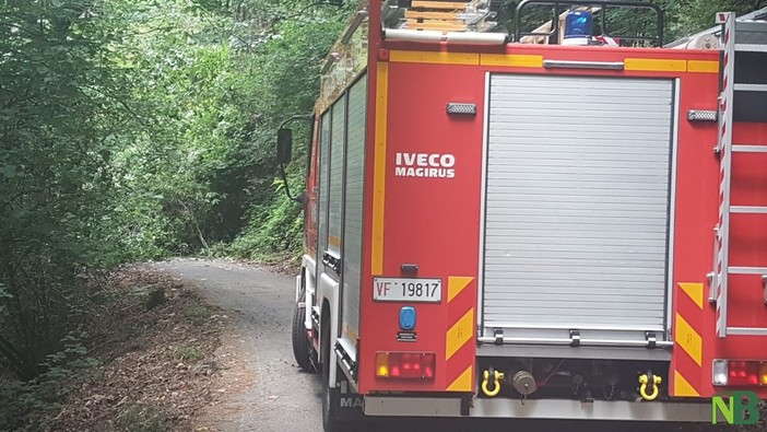 Valdilana, auto sbanda ed esce fuori strada