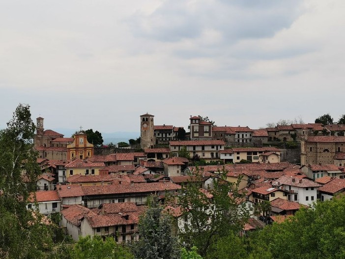 magnano biblioteca