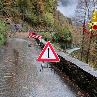 Pianta cade sui cavi del telefono ad Arboerio, intervengono i Vigili del Fuoco