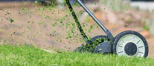 Occhieppo Inferiore, gli orari della raccolta del verde