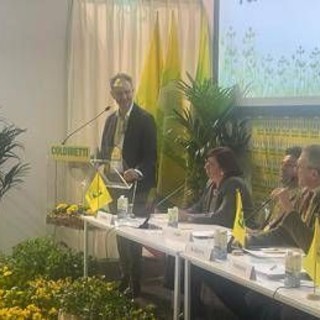 Piante e fiori made in Italy da record, nel 2024 toccati i 3,3 mld di euro