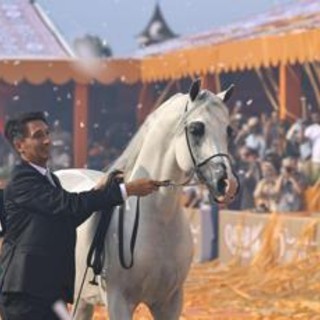 Roma, confermato il Global Champions Arabians Tour al Circo Massimo