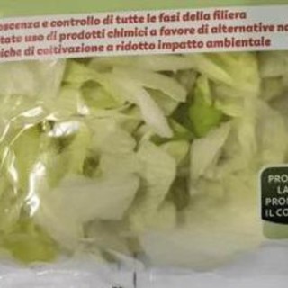 Listeria in insalata iceberg in busta, richiamati lotti di 19 marchi