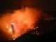 Incendi Los Angeles, il vento non si placa: 24 morti e emergenza continua