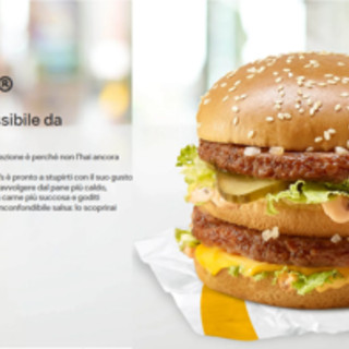 Mc Donald's perde il marchio Big Mac per i panini al pollo nell'Unione Europea