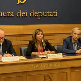 Loizzo: &quot;Superare disomogeneità Nord- Sud in trattamento cancro polmone&quot;