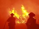 California, incendio nella contea di Los Angeles: 1.200 evacuati