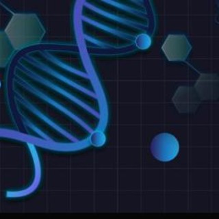 Prima mappa del cervello adulto, svelata la rete di neuroni e sinapsi