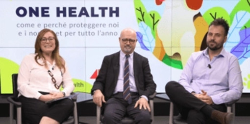 One Health, come e perché proteggere tutto l'anno noi e i nostri pet