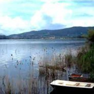 Lago Trasimeno, è crisi senza precedenti: &quot;Interventi straordinari per salvarlo&quot;