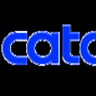 Catawiki lancia nuova funzionalità per migliorare piattaforma