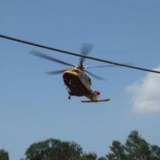 Incidente sul lavoro, 55enne muore colpito da albero nella Bergamasca